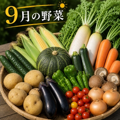 【令和8年産】旬の野菜7～9種の詰め合わせセット 9月発送 美景農園