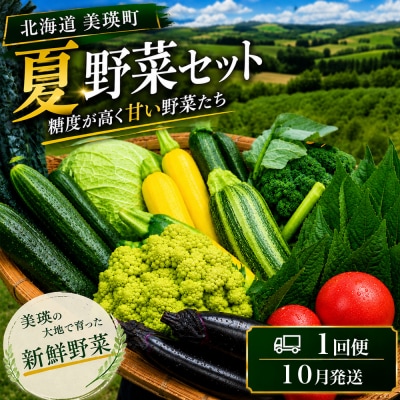 【令和8年産】旬の野菜7～9種の詰め合わせセット 10月発送 美景農園