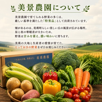 【令和8年産】旬の野菜7～9種の詰め合わせセット 10月発送 美景農園