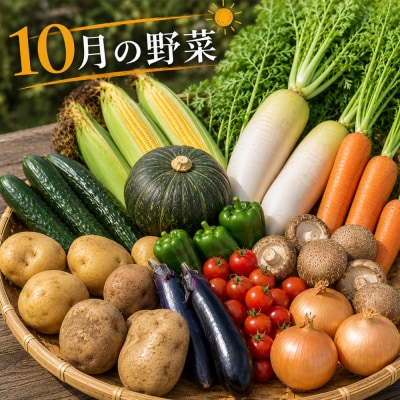 【令和8年産】旬の野菜7～9種の詰め合わせセット 10月発送 美景農園