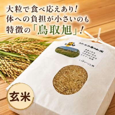 【令和8年産新米】農家直送　自然栽培米「鳥取旭」5kg(玄米)