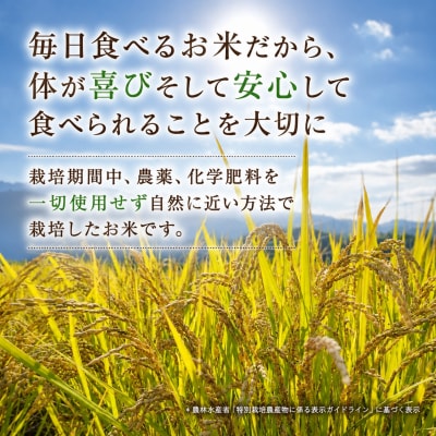 【令和8年産新米】農家直送　自然栽培米「鳥取旭」5kg(玄米)