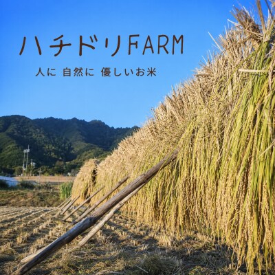 【令和8年産新米】農家直送　自然栽培米「鳥取旭」5kg(玄米)