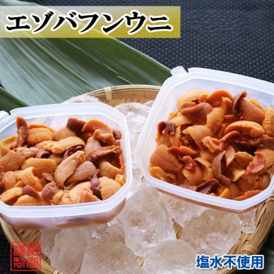 エゾバフンウニケース詰め(赤系)約100～110g×2P[11月上旬以降発送] B-71027