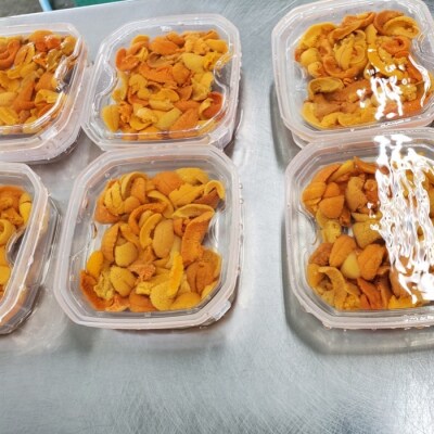 エゾバフンウニ(赤系)無添加塩水パック50～60g×1P[11月上旬以降発送] G-71002
