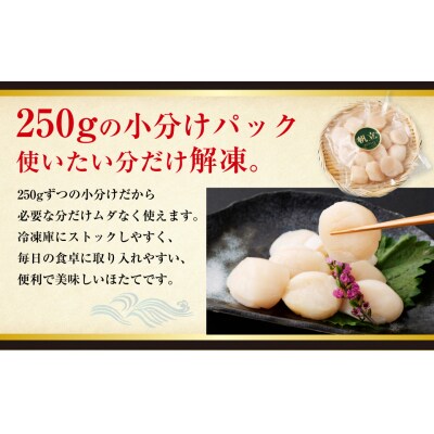 【訳あり】北海道産 ほたて貝柱 250g×5袋 1.25kg ふるさと納税 帆立