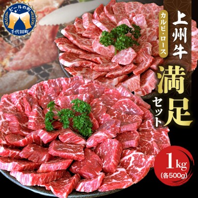 上州牛カルビ ロース 満足セット 約1.0kg(各500g×2パック) ch013-003hrr