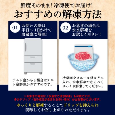 上州牛カルビ ロース 満足セット 約1.0kg(各500g×2パック) ch013-003hrr
