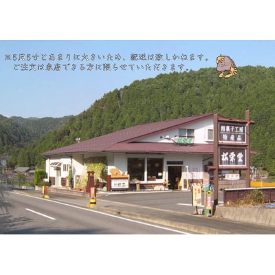 ※5尺5寸の大きさの落雁 らくがん 和菓子工房　松栄堂