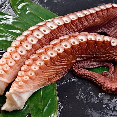 大たこ(刺身用) 1kg～1.2kg×2本 ふるさと納税 たこ