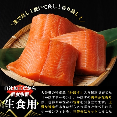 かぼすサーモン フィレ(350g以上)