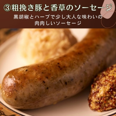 【ジャングルケイブ】肉感たっぷり 手作り無添加ソーセージ3種(各約100g)