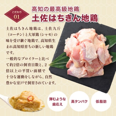 土佐はちきん地鶏グリーンカレー180g×6個セット レトルトカレー レトルト食品 