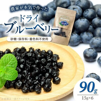 【無添加・砂糖不使用】農家が本気で作ったドライブルーベリー(15g×6パック) H164-014
