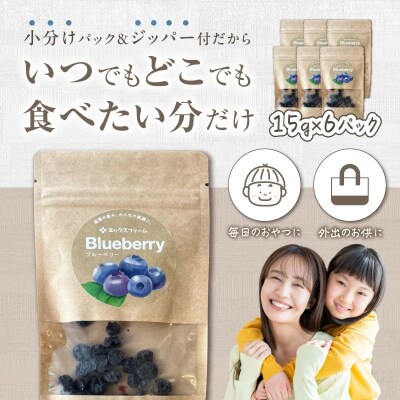 【無添加・砂糖不使用】農家が本気で作ったドライブルーベリー(15g×6パック) H164-014
