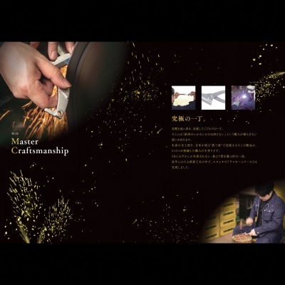 [エヌシキ]金切鋏 テスキープロ300 プロ仕様 はさみ ステンレス対応  燕三条【028S055】