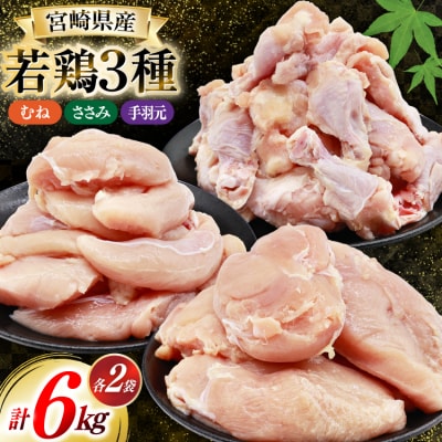 鶏肉 詰め合わせ 宮崎県産 若鶏 むね肉 ささみ 手羽元 セット 各1kg [31ai0022]