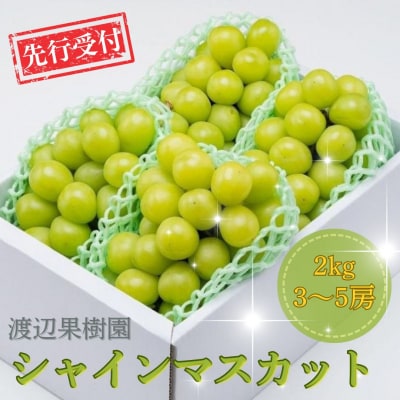 先行受付 シャインマスカット2kg(3~5房) 令和8年度 贈答用 渡辺果樹園 【034S008】