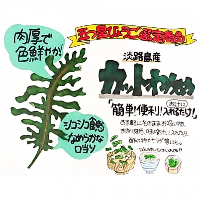 【山田海産物】淡路島産カットわかめ 5袋