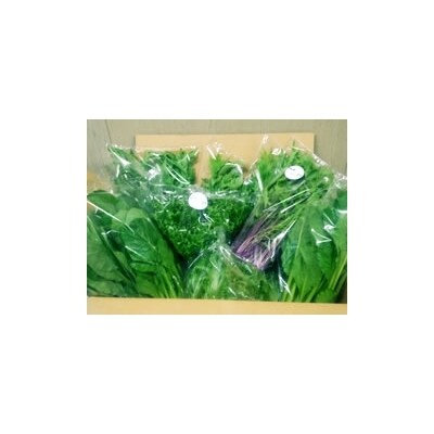 水耕栽培 新鮮 葉物野菜bセット お礼品詳細 ふるさと納税なら さとふる