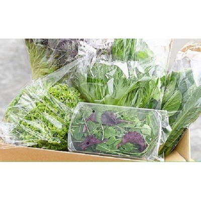 水耕栽培 新鮮 葉物野菜Aセット