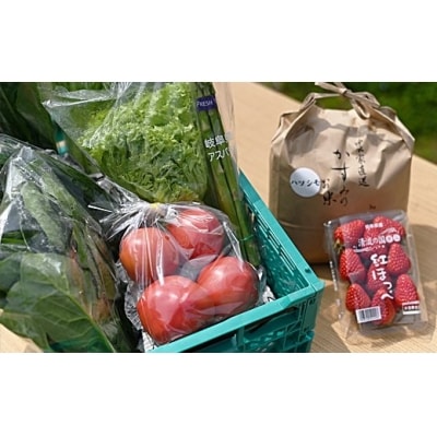 美濃加茂産 旬の野菜セット(1回分)