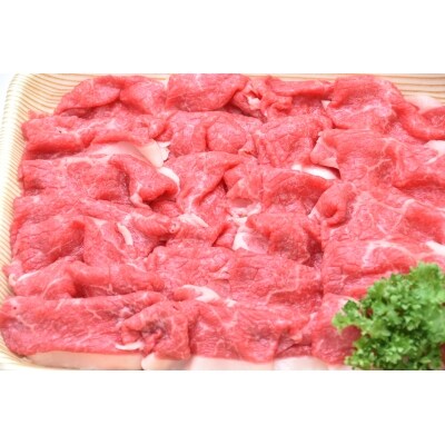 飛騨牛A4・A5等級 切り落とし500g