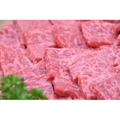 飛騨牛A5等級 焼肉用400g(モモ肉)