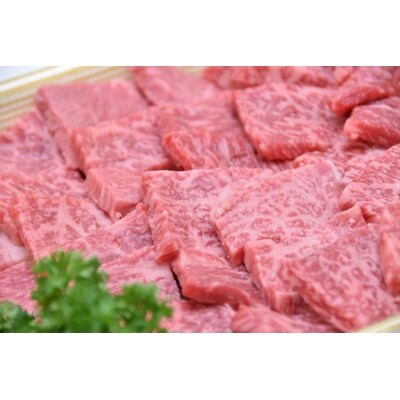 飛騨牛a5等級 焼肉用400g モモ肉 お礼品詳細 ふるさと納税なら さとふる