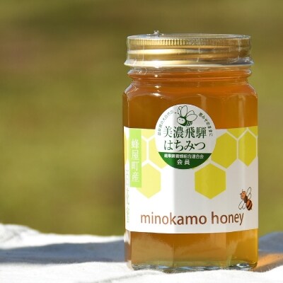 Minokamo Honey はちみつ 500g お礼品詳細 ふるさと納税なら さとふる