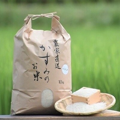 令和3年 美濃加茂産 ハツシモ ( 10kg ) 米
