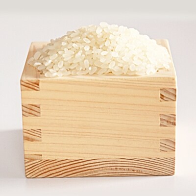 令和3年 美濃加茂産 ハツシモ ( 10kg ) 米
