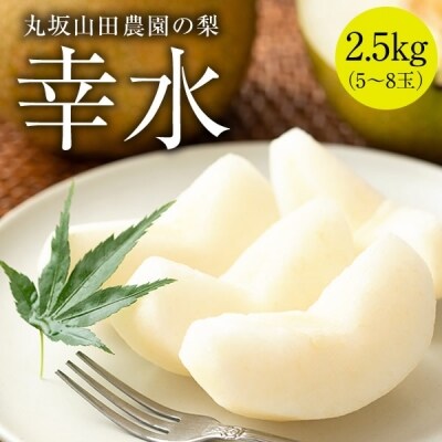 【先行受付】「丸坂山田農園」山之上梨1箱 (幸水2.5kg程度)(2023年発送) | ふるさと納税のお礼品