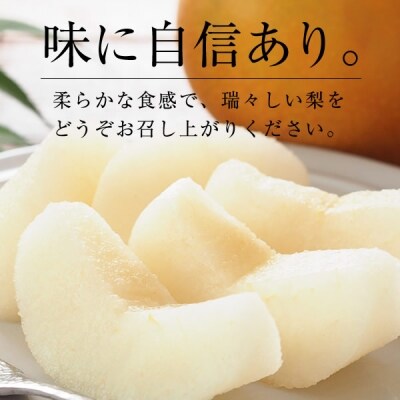 【先行受付】「丸坂山田農園」山之上梨1箱 (豊水2.5kg)