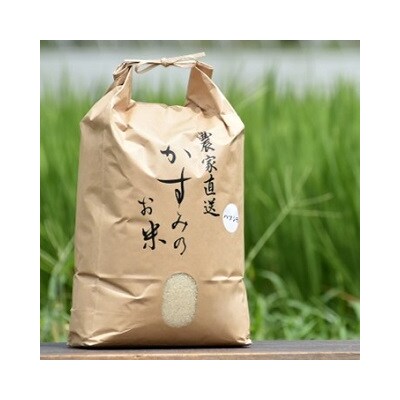 令和4年産米 美濃加茂の お米 定期便 毎月6回セット ( 5kg×6回 )