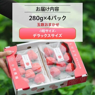 糸島産 完熟あまおう 280g×4パック (デラックスサイズ) / 小河農園[AJN002] 苺