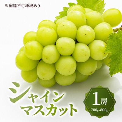 シャイン マスカット 1房 700g～800g 大粒 種無し岡山県産  [No.5735-3588]
