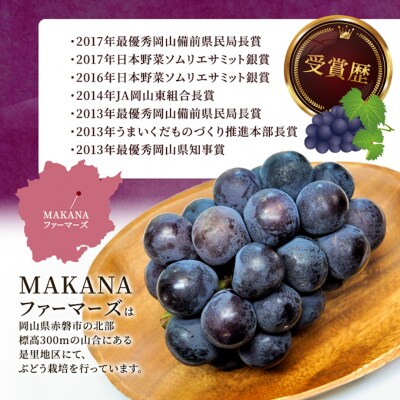 オーロラ ブラック 2房(1房600～700g)大粒 種無し 岡山県産 [No.5735-3589]