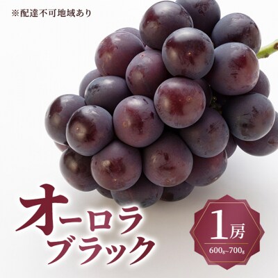 オーロラ ブラック 1房 600g～700g 大粒 種無し 岡山県産 [No.5735-3591]