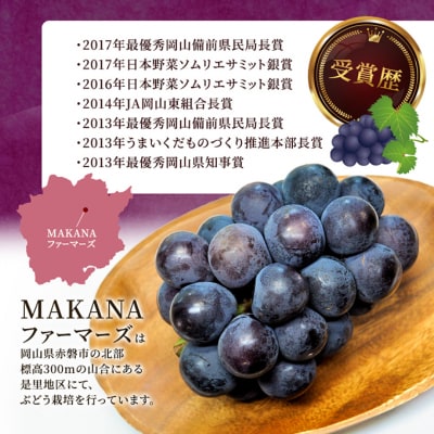 オーロラ ブラック 1房 600g～700g 大粒 種無し 岡山県産 [No.5735-3591]