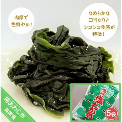 【山田海産物】肉厚塩わかめ220g×5袋