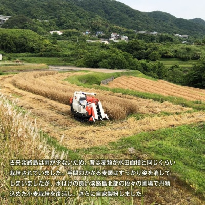 淡路市尾崎産　全粒粉小麦粉 詰合わせセット(やば恋 小麦)　ah26001