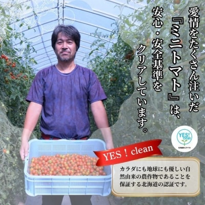 【2026年7月上旬から発送】北海道とままえ産 ミニトマト「愛果(あいか)」2kg rum13