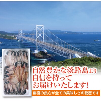 山田海産物の無添加「あじ開き16枚入り」　ふっくら、やわらか、身はぷりっぷり!
