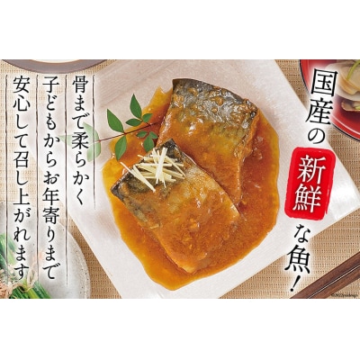 三陸漁師美味一品 3種×3P 計9P さんま さば いわし[20563350] 