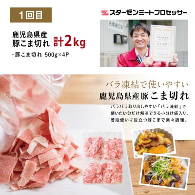 【定期便 全3回】鹿児島県産 便利な牛肉・豚肉 定期便 計4.6kg 