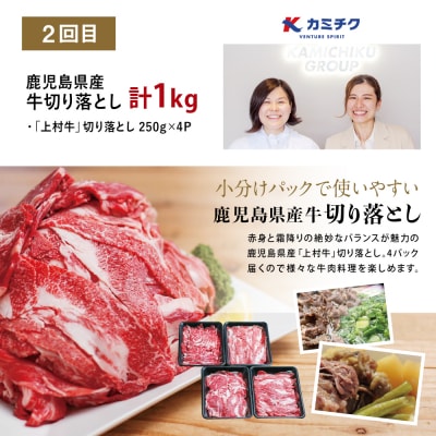 【定期便 全3回】鹿児島県産 便利な牛肉・豚肉 定期便 計4.6kg 