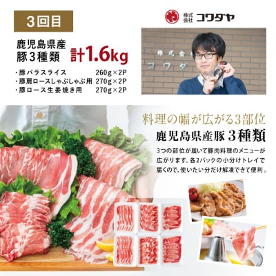 【定期便 全3回】鹿児島県産 便利な牛肉・豚肉 定期便 計4.6kg 