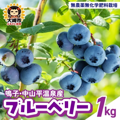 鳴子・中山平温泉産 ブルーベリー1kg | ku001-1kg