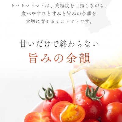 ケンちゃんファームの高糖度ミニトマト「トマトマトマト」900g